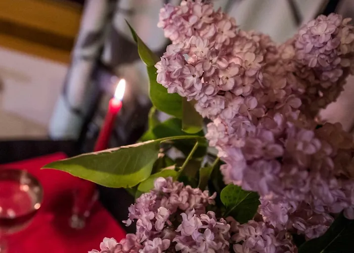 Pod Jodla בית אירוח